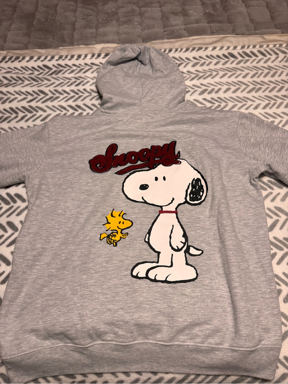 Peanuts Gray Hoodie with Snoopy & Woodstock Graphic